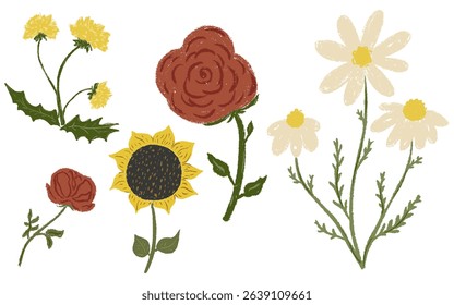 Set chalk texture botanic blossom flowers. Rose branch, leaves, dandelion, daisy, sunflower floral collection. Crayon garden, meadow, field wild plants. Vector illustration isolated. White background