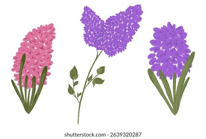 Set chalk texture botanic blossom flowers. Lilac branch with leaves, Hyacinth floral collection. Crayon hand drawn garden, meadow, field wild plants. Vector illustration isolated. White background