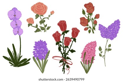 Set chalk texture botanic blossom flowers. Lilac branch with leaves, Hyacinth floral collection. Crayon hand drawn rose bouquets, orchid bloom plant. Vector illustration isolated. White background