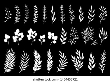 Set of chalk tree branches, eucalyptus, palm leaves, herbs and flowers silhouettes