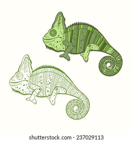 Set of chameleon isolated on white background. Hand drawn vector illustration, sketch. Elements for design.