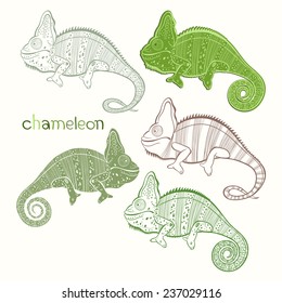 Set of chameleon isolated on white background. Hand drawn vector illustration, sketch. Elements for design.
