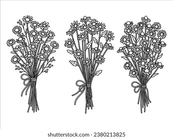 Set of chamomile bouquets. Collection of stylized daisy buds tied with a ribbon. Botanical. Field flower. Vector illustration of plants on a white background. Tattoo.