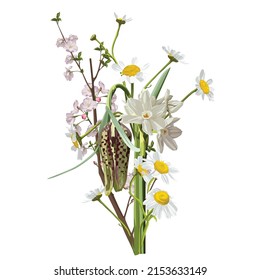 Conjunto de ramos de Chamomile (Daisy), flores blancas, capullos, hojas verdes, fritillaria (Fritillaria). Ilustración botánica sobre fondo blanco para el diseño, ilustración de dibujo a mano en estilo vintage.