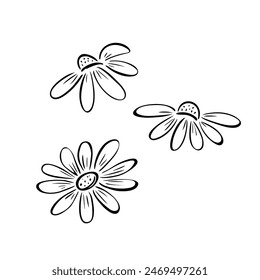 Conjunto de flores de manzanilla en estilo doodle. boceto con líneas negras. Ilustración vectorial aislada sobre fondo blanco.