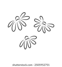 Set of chamomile flowers in doodle style. Pencil sketch black lines. Vector illustration isolated on white background.