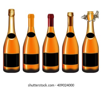 Set of Champagne bottle isolated on white background,Vector illustration