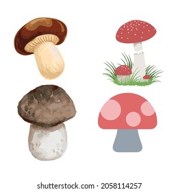 Champignon-Champignon-Pilz-Set , Vektorlinie einzeln oder Logo einzelne Zeichen Symbol, Umriss- und Strichstil Sammlung von hochwertiger Vektorgrafik,