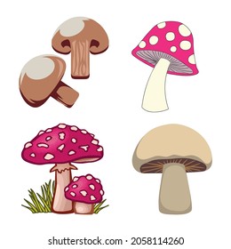 set of  champignon mushroom , vector line isolated or logo isolated sign symbol icon, outline and stroke style Collection of high-quality vector illustration,