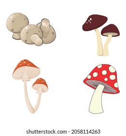 Champignon-Champignon-Pilz-Set , Vektorlinie einzeln oder Logo einzelne Zeichen Symbol, Umriss- und Strichstil Sammlung von hochwertiger Vektorgrafik,