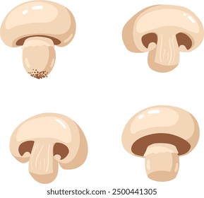 Set of champignon mushrooms cut and whole