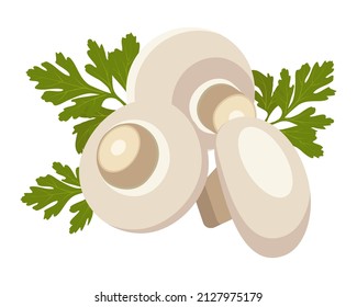 Set Champignon. vector illustration, mushrooms. Edible mushrooms