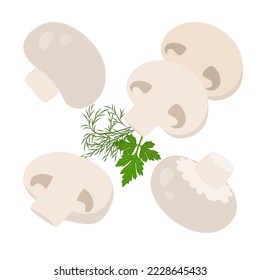 Set of champignons. Flat style. Vector illustration 