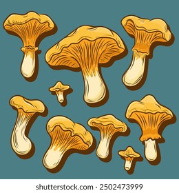 Set of chanterelle mushrooms, bright, autumn, harvest, vector