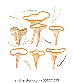 Set with chanterelle mushrooms and needles. Nature drawn collection