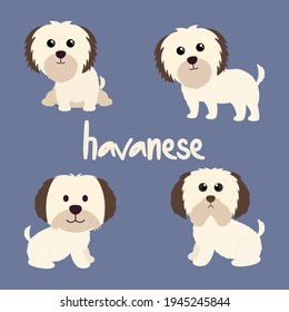 Set Character Animal In Various Poses Of Cute Havanese Dog Is Sitting, Sleep, and Jumping. Vector Illustration
