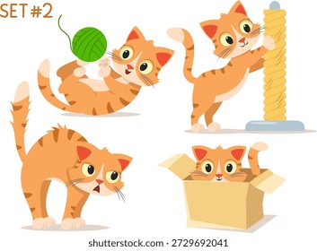 Conjunto de gatos de carácter. Gato jugando, afilando sus garras, arqueando su espalda y aullando, sentado en una caja, primer plano sobre un fondo blanco.