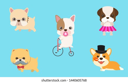 Set character cute puppy pitbull French Bulldog Shih Tzu Corgi Pomeranian with comedy