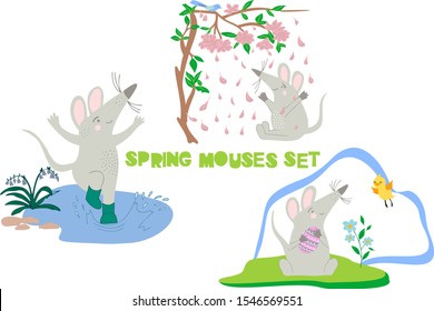 Set of the character of cute spring mouse on the white background.The spring postcard. The character of cute rat in flat vector style. Flowers, easter, egg, puddle, birds