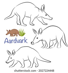Establece el diseño del carácter del doodle de Aardvark lindo. Ilustración vectorial dibujada a mano.