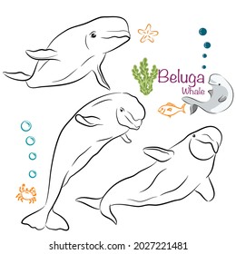 Set character design of cute Beluga whale doodle style. Hand drawn vector illustration.