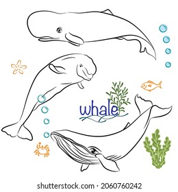 Set character design of cute Whale doodle style. Hand drawn vector illustration.