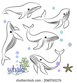 Set character design of cute whale doodle style. Hand drawn vector illustration.