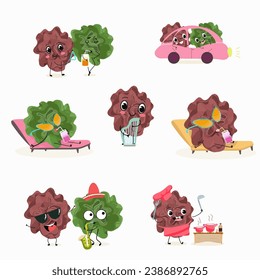 Set of characters cartoon Salad of green and red trocadero lettuce, lactuca sativa vector illustration, funny greens, cheerful vegetables.