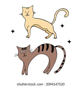 Set characters. Draw vector illustration character collection cute cats. Doodle cartoon style.