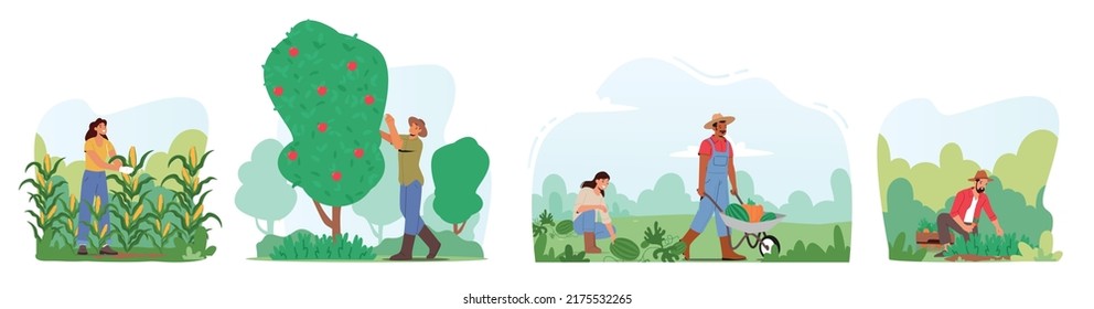 Set Characters Harvesting in Garden or Orchard, Gardeners Collecting Fruits and Vegetables Crop, Ecological Healthy Farm Production. Seasonal Work, Autumn Harvest. Cartoon People Vector Illustration