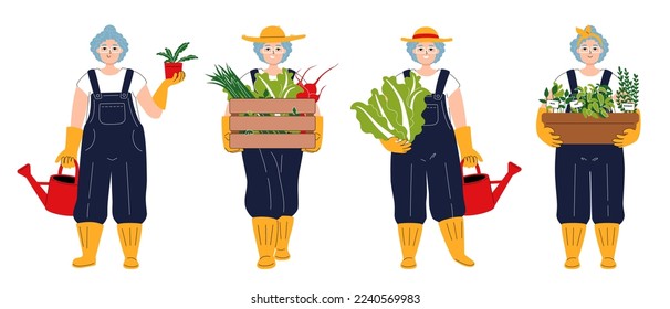 A set of characters as white elderly gardener. Smiling woman carrying a box of vegetables. Gray-haired girl in a hat holding chinese cabbage and watering can. Happy old female with pot of the plant