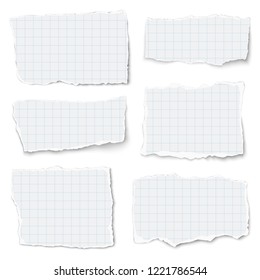 Set of checkered paper different shapes tears isolated on white background. Vector paper template.