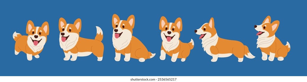 Set of Cheerful corgi puppy. Thoroughbred dog In different poses. Funny pet emotions. Pedigree animals. Puppy character with cheerful face expression. Pet, domestic animal. Flat vector illustration.