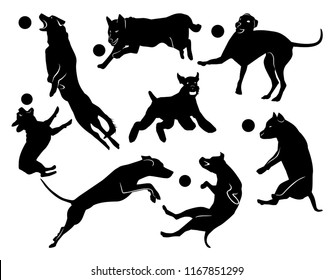 Set of cheerful jumping dogs. Black silhouette on white background. Vector flat illustration