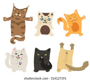 set of cheerful kittens