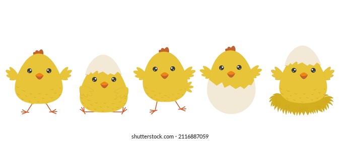 A set of cheerful yellow Easter chicks. Cute chickens isolated on white background. Elements for Easter design and print.Vector illustration