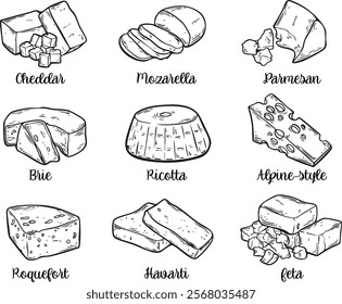 Set of Cheese board -  Ricotta, Cheddar, Mozzarella, Brie, Feta, Parmesan, Roquefort, Havarti, Alpine-style, hand-drawn. Vector sketch illustration isolated over white background