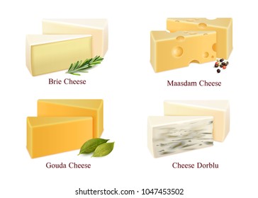 Set of cheese kinds in pieces brie, gouda, dorblu and maasdam with spices isolated vector illustration