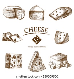 Set of cheese sketch isolated on white background. Vintage vector illustrator