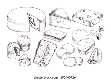 Set of Cheese types isolated on white background. Dairy products. Vintage style design. Template for postcard, banner, poster, web design, menu. Hand Drawn vector illustration.