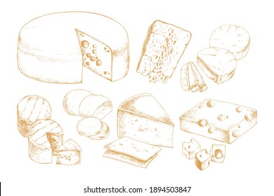 Set of cheeses, variety of types isolated on white background. Dairy products. Vintage style design. Template for postcard, banner, poster, web design, menu. Hand Drawn vector illustration.