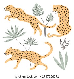 Set with cheetah animals and decorative elements to create seamless patterns isolated on a white background. Vector illustration for printing on fabric, postcard, poster, packaging paper, clothing.