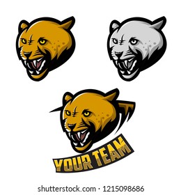 Set of Cheetah heads