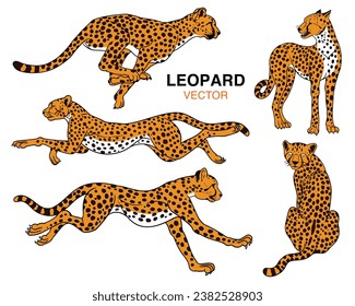 Conjunto de chita o leopardo en diferentes ángulos y emociones en un estilo de caricatura. Ilustración vectorial de los predadores animales africanos aislados en blanco