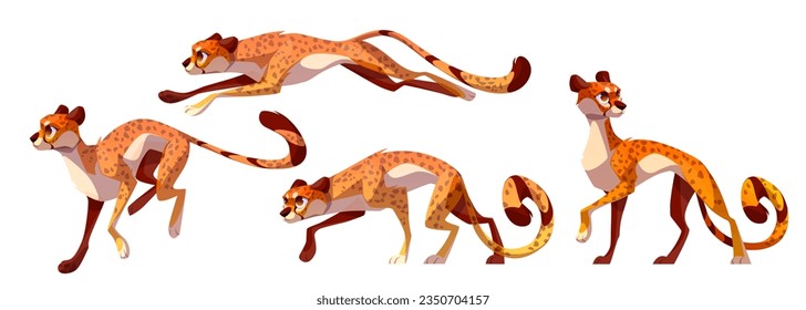 Set of cheetah, leopard or jaguar. Wild cat from tropical jungle in Africa. Jumping, running and walking gepard, exotic animal with spotted fur, vector cartoon set isolated on white background