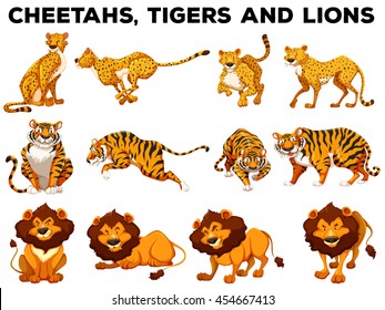 Set of cheetahs and tigers illustration