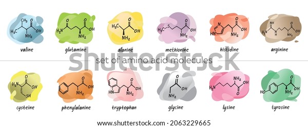 Set of chemical formula of the amino acids\
is isolated on colorful abstract background. Symbols collection of\
organic compound. Structure of an interchangeable amino acid.\
Cartoon vector\
illustration.