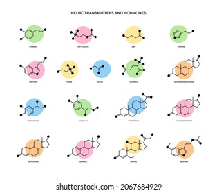 Set of chemical formulas of hormones and neurotransmitters in brain. Serotonin and dopamine icons. Physiological processes in the human body. Adrenaline and acetylcholine molecules vector illustration