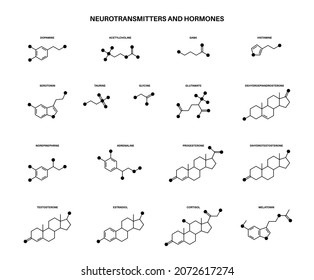 Set of chemical formulas of hormones and neurotransmitters in brain. Serotonin and dopamine icons. Physiological processes in the human body. Adrenaline and acetylcholine molecules vector illustration