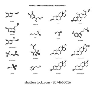 Set of chemical formulas of hormones and neurotransmitters in brain. Serotonin and dopamine icons. Physiological processes in the human body. Adrenaline and acetylcholine molecules vector illustration